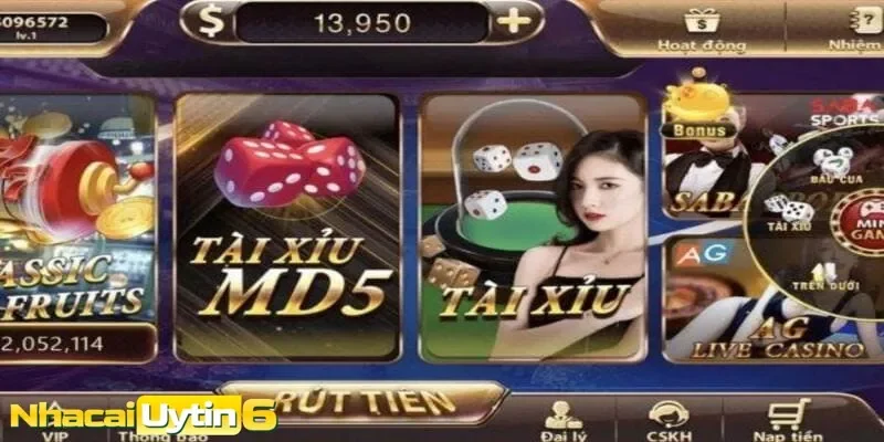 Có thể áp dụng chiến thuật tài xỉu để nâng cao cơ hội thắng