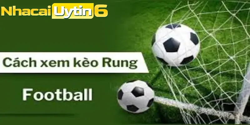 Những mẹo giúp bạn đọc hiểu kèo rung hiệu quả  