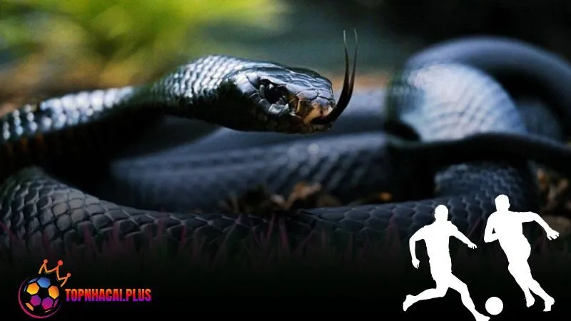 giải mã giấc mơ thấy rắn