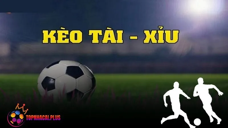 Kèo tài xỉu là gì? Cách chơi và các loại kèo phổ biến 