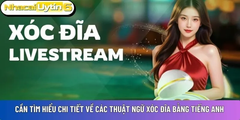 Cần tìm hiểu chi tiết về các thuật ngữ Xóc Đĩa bằng tiếng Anh