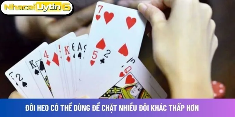 Đôi heo là gì trở thành sự quan tâm của đông đảo người chơi game bài