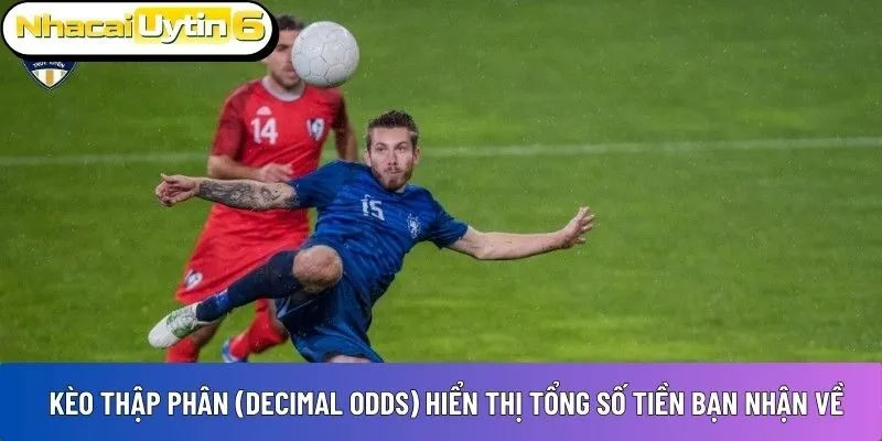 Kèo thập phân (Decimal Odds)