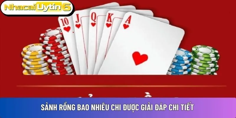 Sảnh rồng bao nhiêu chi được giải đáp chi tiết
