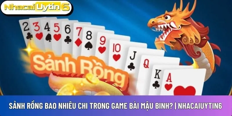 Sảnh rồng bao nhiêu chi