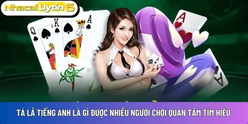 Tá Lả tiếng Anh là gì được nhiều người chơi quan tâm tìm hiểu